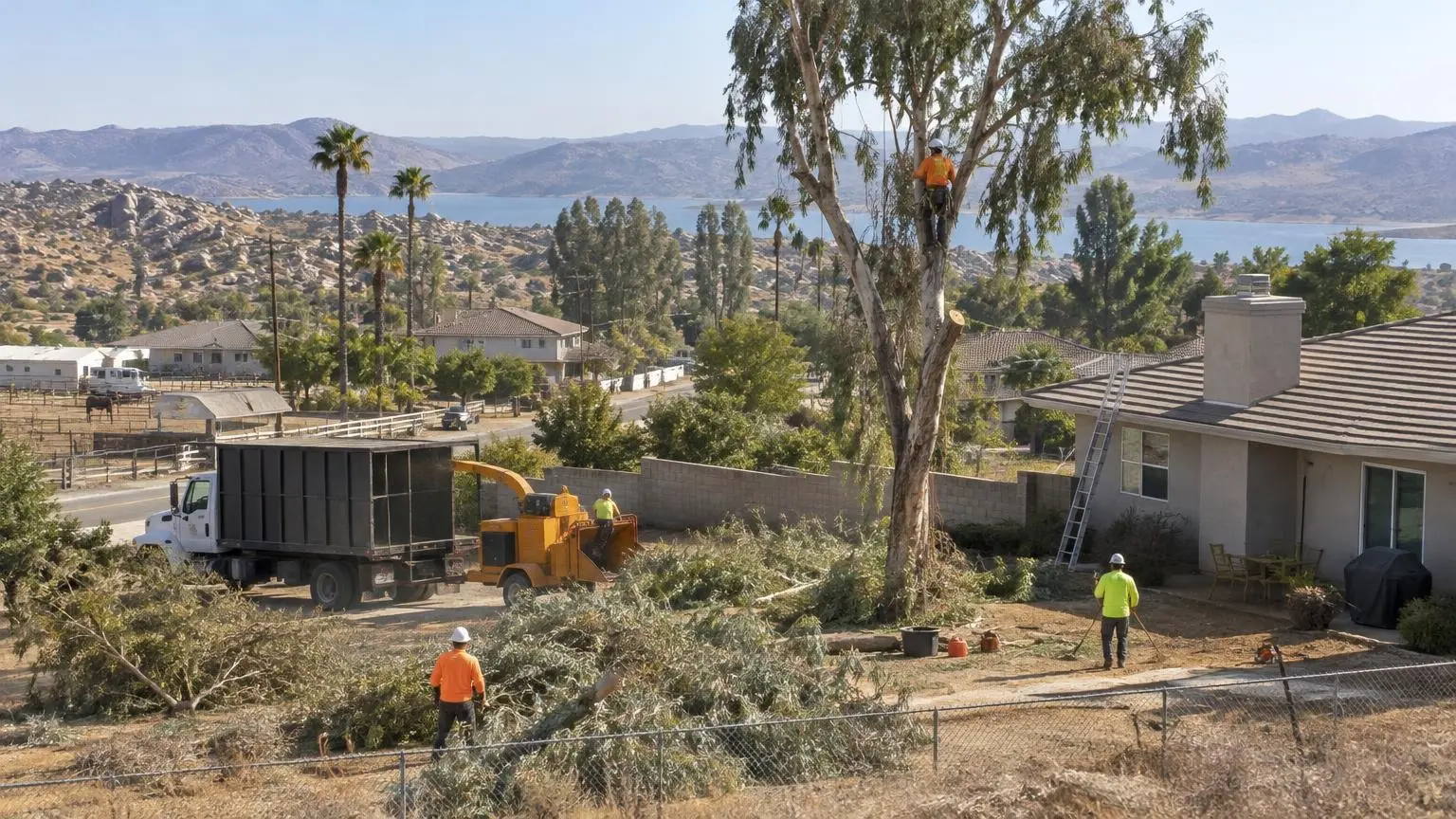 Tree Service in Perris, CA
